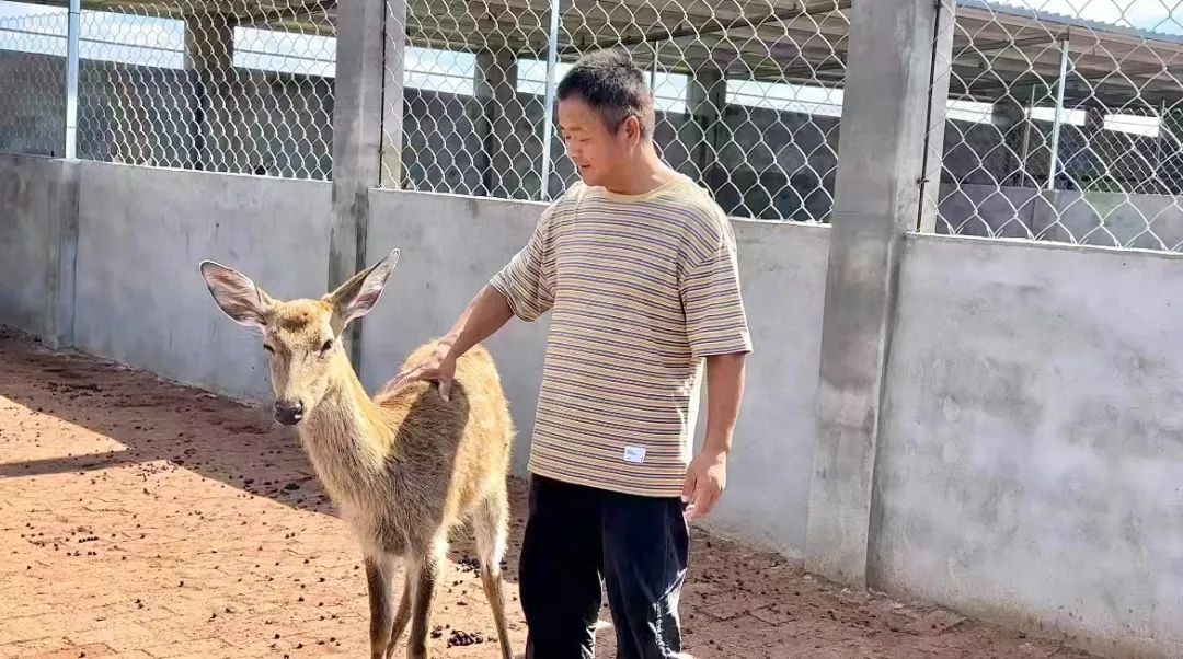 神人捕鱼网页版